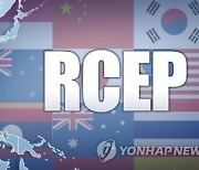 정부 "국회서 이달 중 비준되면 우리나라도 내년 1월 RCEP 발효"