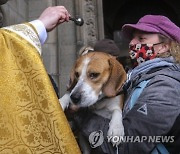 BELGIUM BELIEF SAINT HUBERT COMMEMORATION ANIMALS BLESSING