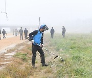 포천시, 민·관 합동 생태계 교란 야생식물 제거 실시