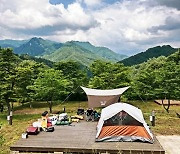 '반려견과 추억 쌓기 동반 여행'.. 인제 리조트&캠핑장 '라이프 위드 도그'