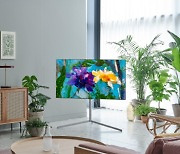 집콕 늘자 OLED TV 전환 속도 가속