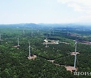 '탄소 없는 섬, 제주'..탄소중립 이끌 모델로 전 세계가 주목