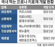 대원제약, 먹는 코로나 치료제 임상 2상 '눈앞'