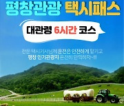 [평창 단신] 평창관광택시+평창투어패스 결합상품 출시 등