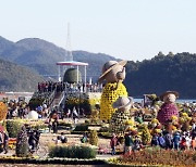 [창원소식] 창원시, 마산국화축제 관람 기간 연장 결정 