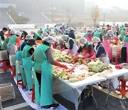 [뉴시스 앵글] 1만 포기 사랑의 김장하는 충주 새마을회