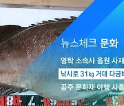 [뉴스체크|문화] 낚시로 31kg 거대 다금바리 잡아