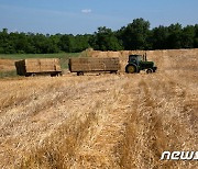 FAO 10월 식량가격지수, 10년래 최고치.."수확 차질·수요 증대"