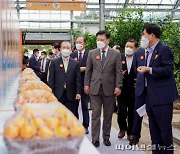 구만섭 제주지사 대행 "제주감귤을 대한민국 명품 과일로"