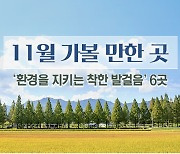 11월 가볼 만한 곳..'환경을 지키는 착한 발걸음' 6곳