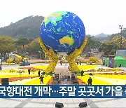 함평 국향대전 개막..주말 곳곳서 가을 축제