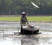 Farmers call for rice price fix