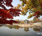 가을 정취 풍기는 향원정