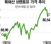 OPEC+, 바이든 요구에도 증산 규모 안 늘렸다