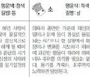 2021년 11월 5일 금요일 (음력 10월 1일) [스포츠동아 오늘의 운세]