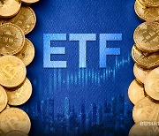 서학개미, 비트코인 ETF 매력에 푹 빠졌다