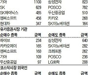 [주식 매매 상위 종목 및 환율] 2021년 11월 5일자