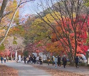 위드코로나 첫 주말..계룡산에 탐방객 발길 이어져