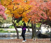 전국 대체로 맑고 일교차 커..제주도는 낮까지 비