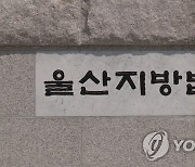 지게차에 끼여 근로자 사망..안전조치 미비 업주 벌금 2천만원