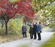 단풍 물든 평양 가을풍경