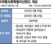 글로벌 금리 인상기, 뱅크론 투자로 두둑한 수익 [이런 펀드 어때요?]