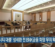 '엘시티 대출' 성세환 전 BNK금융 회장 무죄 확정