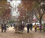 지역 축제 기지개..전국 확진자 증가세 촉각