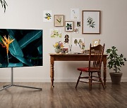 LG TVs get top scores in 14 countries