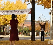 '어느덧 겨울 문턱'..주말 시민들 저물어가는 가을정취 만끽