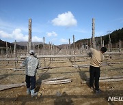 입동에 명태 말릴 덕 세운다