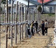 입동, 대관령 황태 덕장 보여