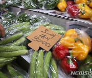 '밥상물가' 고공행진 계속, 애그플레이션 우려