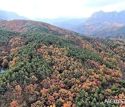 가을 단풍에 물든 설악산 울산바위