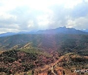 가을에 물든 설악산 울산바위 단풍