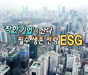 [연합뉴스TV 스페셜] 203회 : '착한기업'이 산다 필수 생존 전략 ESG