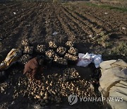 YEMEN AGRICULTURE FOOD INSECURITY