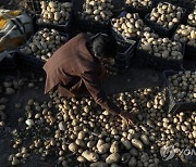 YEMEN AGRICULTURE FOOD INSECURITY