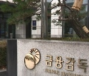 수익률 벌써 60%..금감원서 입소문 난 '인싸 펀드'의 정체