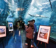 BAT로스만스 '푸른 하늘 사진전' 수상작품 특별전