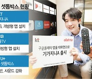 '독점' 없이도 넷플릭스·디즈니+ 본다..IPTV '개방형 셋톱박스' 속속 도입