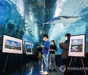 BAT로스만스, '푸른 하늘 사진전' 수상작 특별전 개막