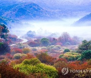 가을 단풍 품은 인제 '비밀의 정원'