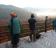 가을 단풍 품은 인제 '비밀의 정원'