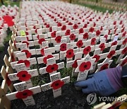 BRITAIN WAR DEAD FIELD OF REMEMBRANCE