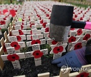 BRITAIN WAR DEAD FIELD OF REMEMBRANCE