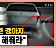 [시청자브리핑 시시콜콜] 살아있는 강아지를 매달고 시속 100km 질주한 차량.. "똑같이 해줘라"