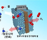 미세먼지 원인물질 일산화탄소..'암모니아'로 바꿔쓴다