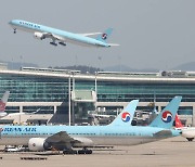 대한항공 여객기 이륙 후 새와 충돌..25분만에 김포공항 회항