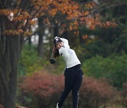 KLPGA 시즌 최종전 12일 개최..최혜진 웃을 수 있을까